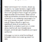 Skærmbillede 2025-07-02 151215